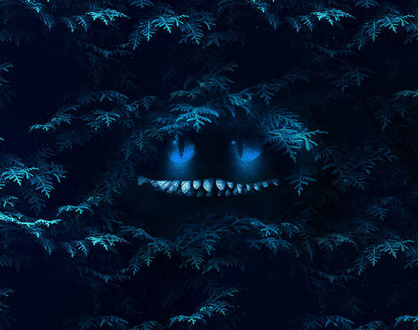 project-15